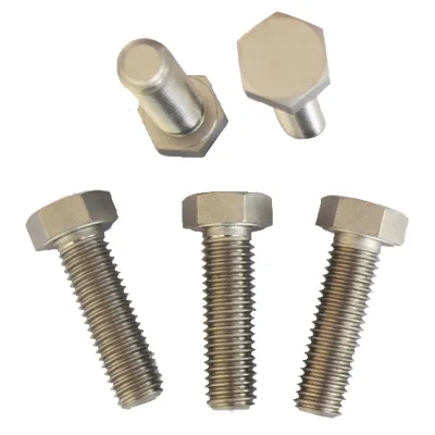 GR1 Titaniumlegering Bouten